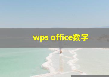 wps office数字